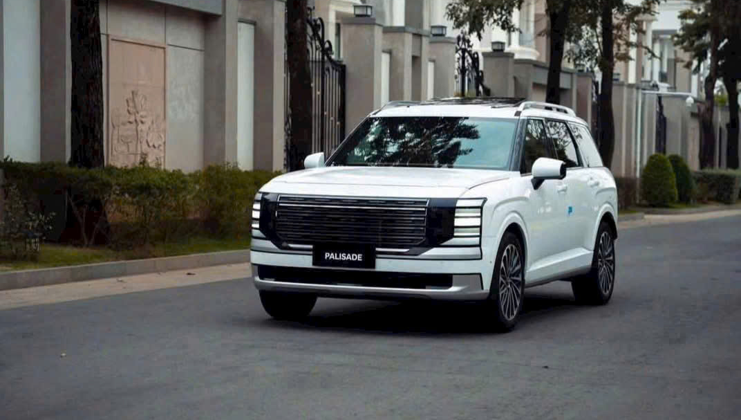 New Palisade