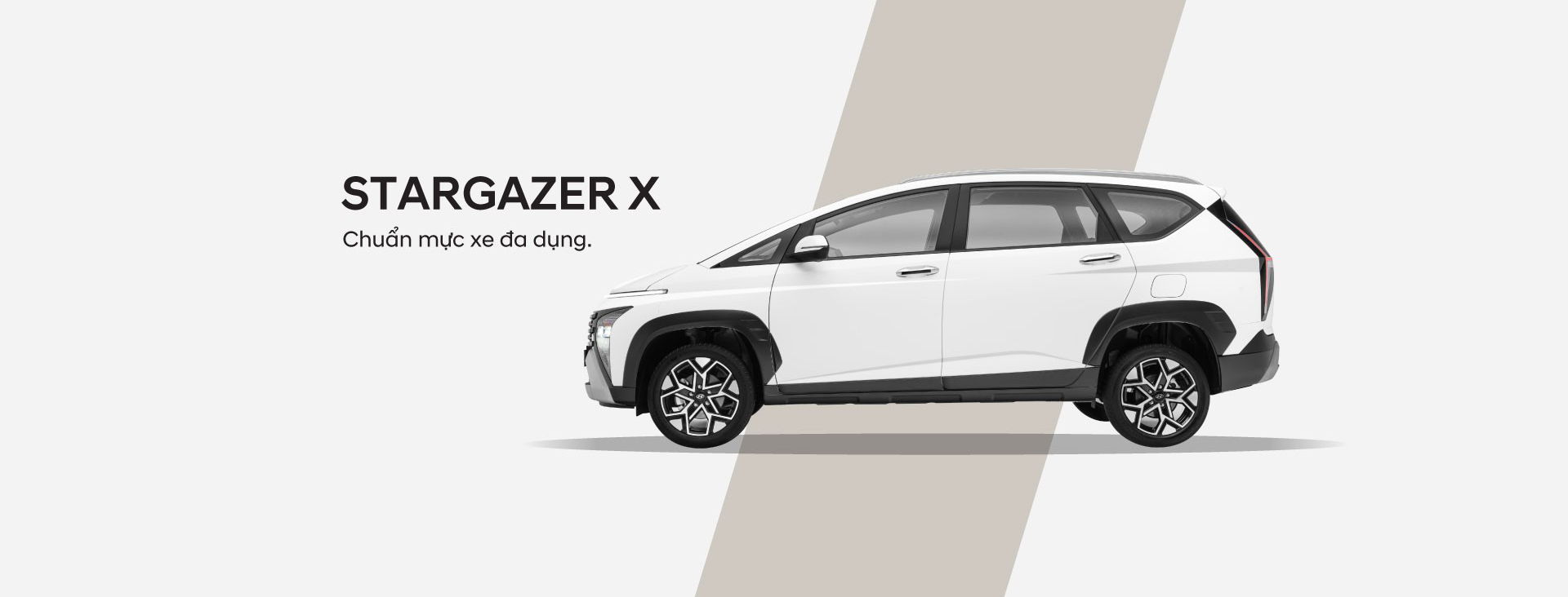 Stargazer - Stargazer X