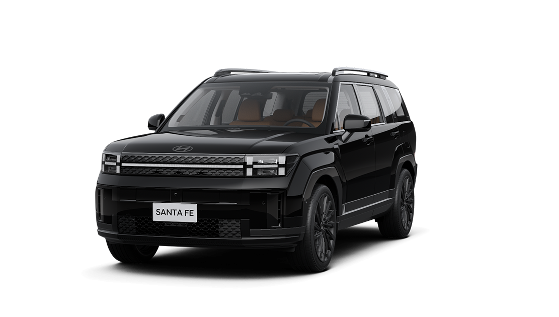 SANTAFE 2.5 EXCLUISIVE