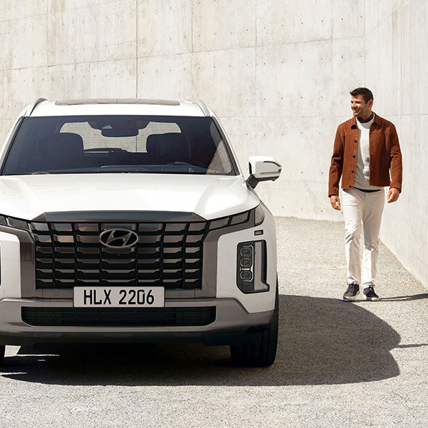 Palisade có gì hút khách