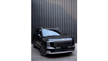 Palisade All New