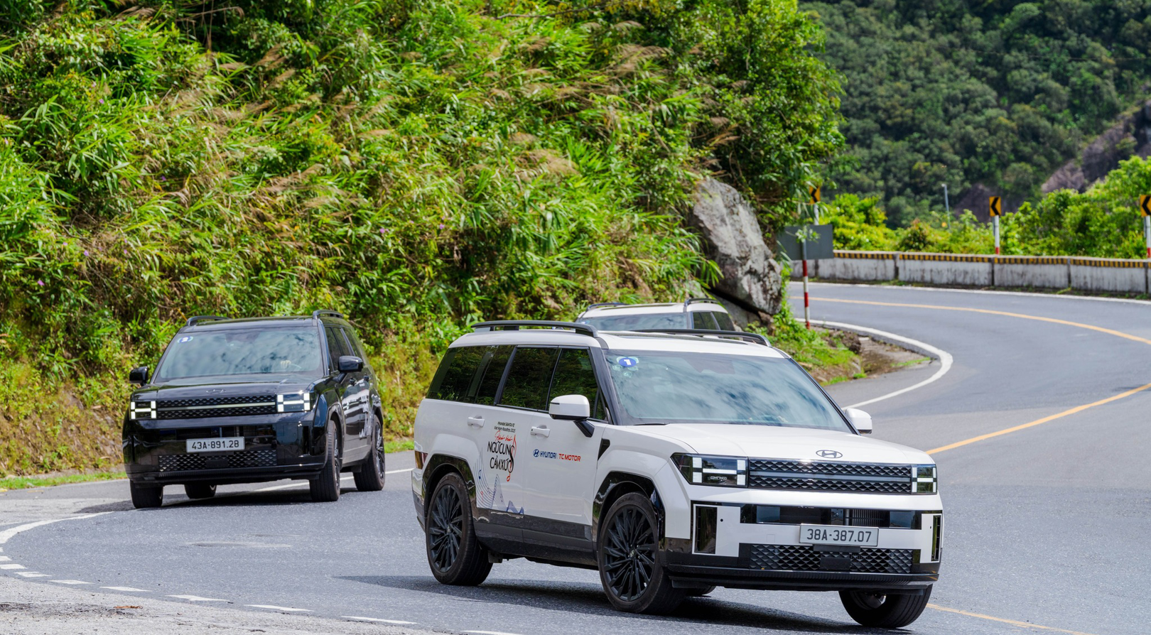 Hiểu đúng Chỉ thị 20/CT-TTg: VAMA lên tiếng — Những nội dung chính