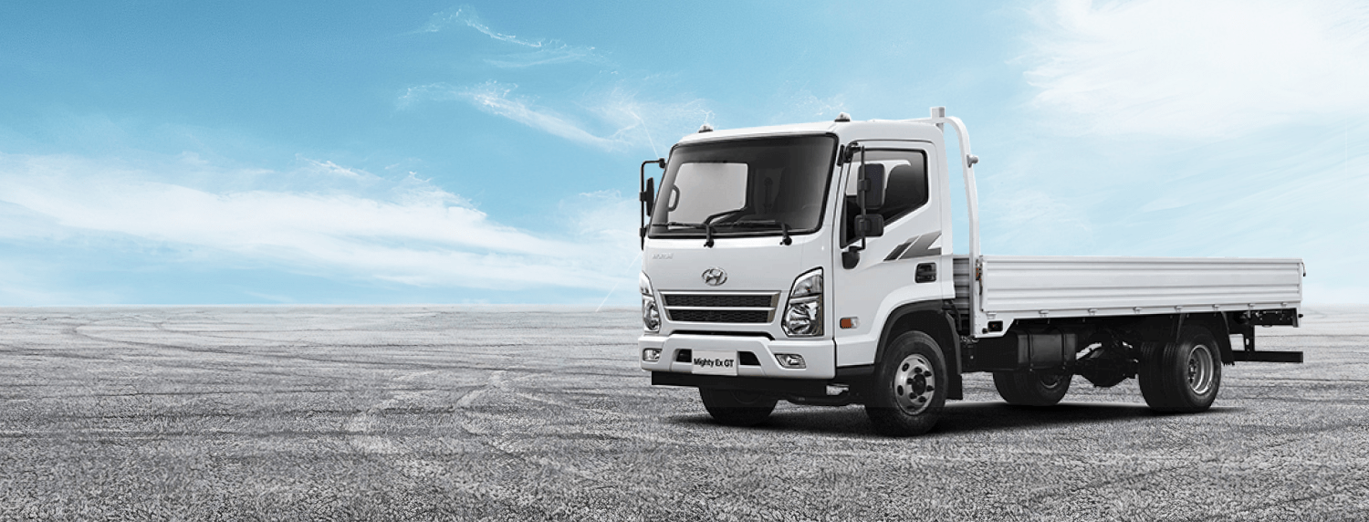 Hyundai New Mighty EX900XL