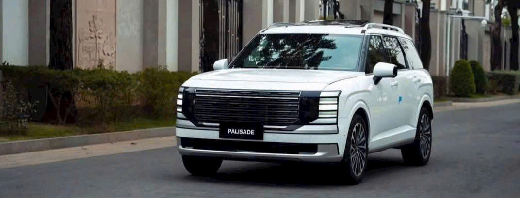 New Palisade