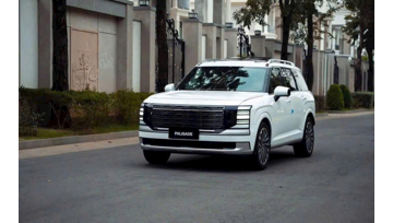 New Palisade