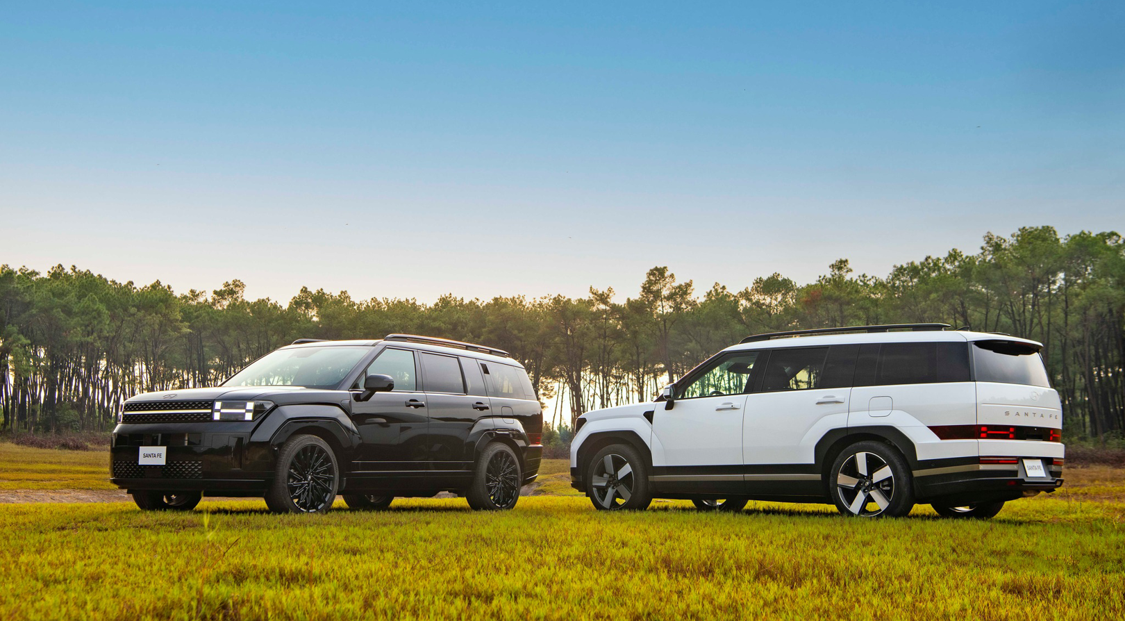 Bảo hiểm ô tô và những điều quý khách hàng cần lưu ý