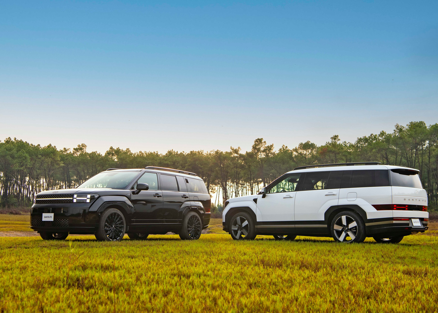 Bảo hiểm ô tô và những điều quý khách hàng cần lưu ý