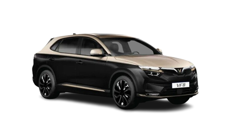 VF8 LUX Plus